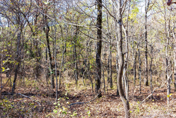 property photo for Stone Bridge Reserve Tract 8, 6.55 acres for sale in LatimerHaskell County, Oklahoma