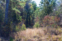 property photo for Stone Bridge Reserve Tract 9, 6.5 acres for sale in LatimerHaskell County, Oklahoma