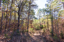 property photo for Stone Bridge Reserve Tract 9, 6.5 acres for sale in LatimerHaskell County, Oklahoma