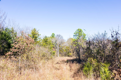 property photo for Stone Bridge Reserve Tract 9, 6.5 acres for sale in LatimerHaskell County, Oklahoma