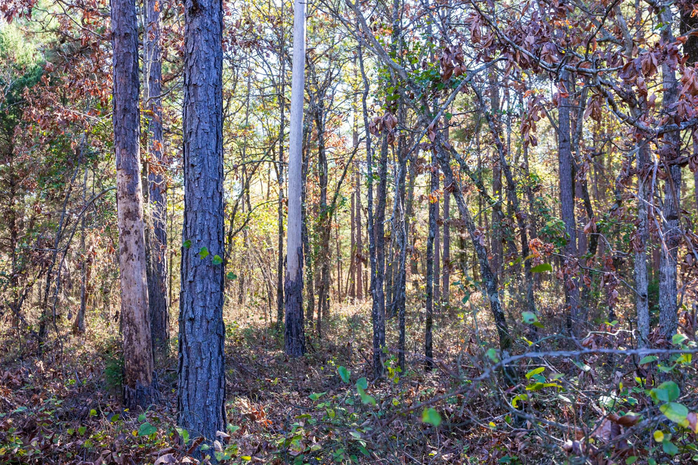6.5 acre rural land tract for sale at Stone Bridge Reserve Tract 9 in LatimerHaskell County, Oklahoma