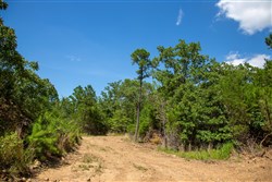 Tyler Stone Ranch Tract 13