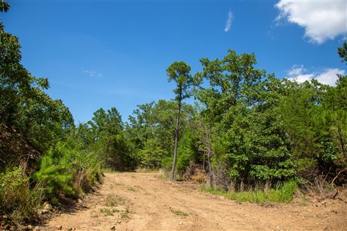 Tyler Stone Ranch Tract 13