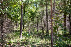 Tyler Stone Ranch Tract 13