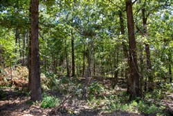 Tyler Stone Ranch Tract 13