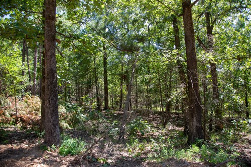 Tyler Stone Ranch Tract 13