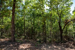 Tyler Stone Ranch Tract 13