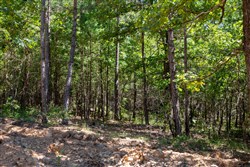 Tyler Stone Ranch Tract 13