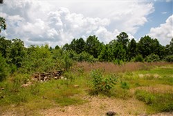 Tyler Stone Ranch Tract 17