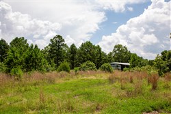 Tyler Stone Ranch Tract 17