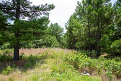 Tyler Stone Ranch Tract 17