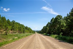 property photo for Tyler Stone Ranch Tract 2, 5.73 acres for sale in Leflore County, Oklahoma