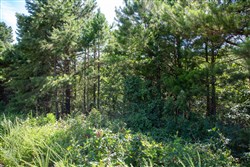 property photo for Tyler Stone Ranch Tract 2, 5.73 acres for sale in Leflore County, Oklahoma