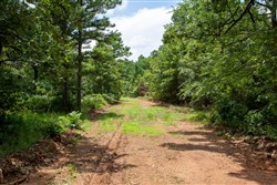 Tyler Stone Ranch Tract 20