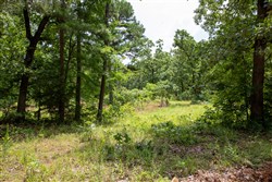 Tyler Stone Ranch Tract 20
