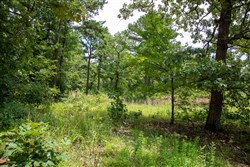 Tyler Stone Ranch Tract 20