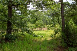 Tyler Stone Ranch Tract 20