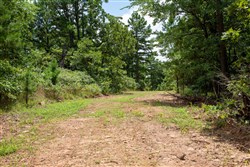 Tyler Stone Ranch Tract 21