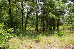 Tyler Stone Ranch Tract 21
