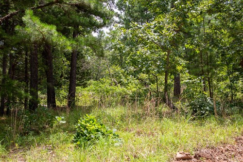 Tyler Stone Ranch Tract 21