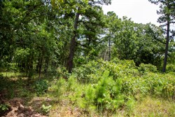 Tyler Stone Ranch Tract 21