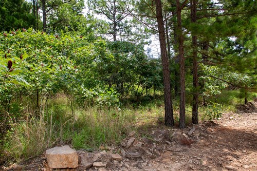 Tyler Stone Ranch Tract 22