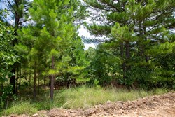 Tyler Stone Ranch Tract 22