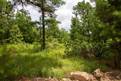 Tyler Stone Ranch Tract 22