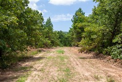 property photo for Tyler Stone Ranch Tract 24, 5.09 acres for sale in Leflore County, Oklahoma