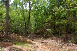 property photo for Tyler Stone Ranch Tract 24, 5.09 acres for sale in Leflore County, Oklahoma
