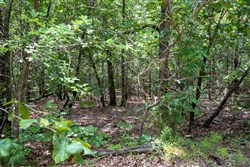 property photo for Tyler Stone Ranch Tract 24, 5.09 acres for sale in Leflore County, Oklahoma