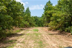 property photo for Tyler Stone Ranch Tract 24, 5.09 acres for sale in Leflore County, Oklahoma