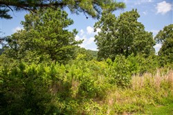 Tyler Stone Ranch Tract 28