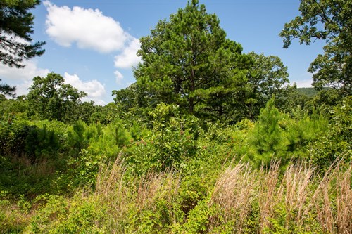 Tyler Stone Ranch Tract 28