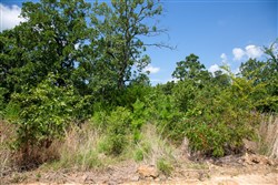 Tyler Stone Ranch Tract 28