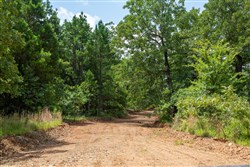 Tyler Stone Ranch Tract 28
