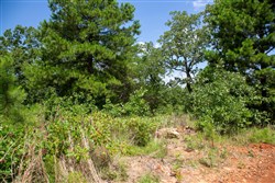Tyler Stone Ranch Tract 28