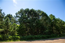 property photo for Tyler Stone Ranch Tract 3, 4.99 acres for sale in Leflore County, Oklahoma