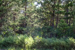 property photo for Tyler Stone Ranch Tract 3, 4.99 acres for sale in Leflore County, Oklahoma