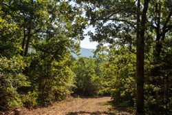 property photo for Tyler Stone Ranch Tract 32, 6.58 acres for sale in Leflore County, Oklahoma