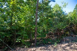 property photo for Tyler Stone Ranch Tract 32, 6.58 acres for sale in Leflore County, Oklahoma