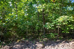 property photo for Tyler Stone Ranch Tract 32, 6.58 acres for sale in Leflore County, Oklahoma