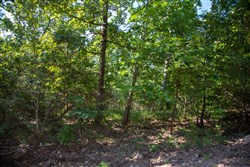 property photo for Tyler Stone Ranch Tract 32, 6.58 acres for sale in Leflore County, Oklahoma