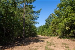 property photo for Tyler Stone Ranch Tract 32, 6.58 acres for sale in Leflore County, Oklahoma