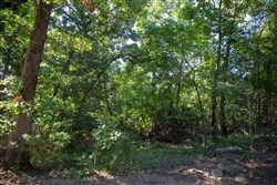 property photo for Tyler Stone Ranch Tract 32, 6.58 acres for sale in Leflore County, Oklahoma