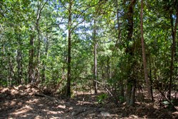 Tyler Stone Ranch Tract 33