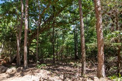 Tyler Stone Ranch Tract 33