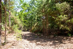 Tyler Stone Ranch Tract 33