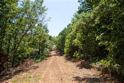 Tyler Stone Ranch Tract 36