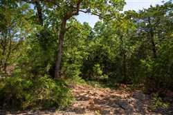 Tyler Stone Ranch Tract 36